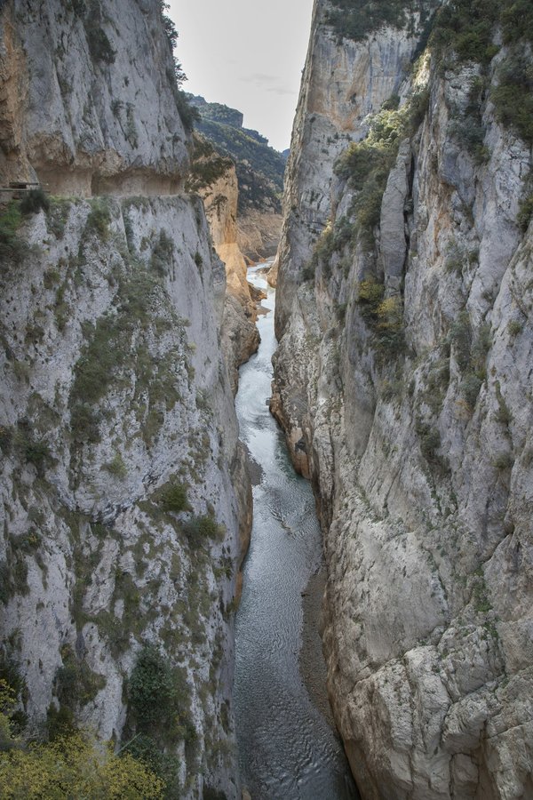 Quelle est la meilleure période pour acheter des équipements de cuisine ?